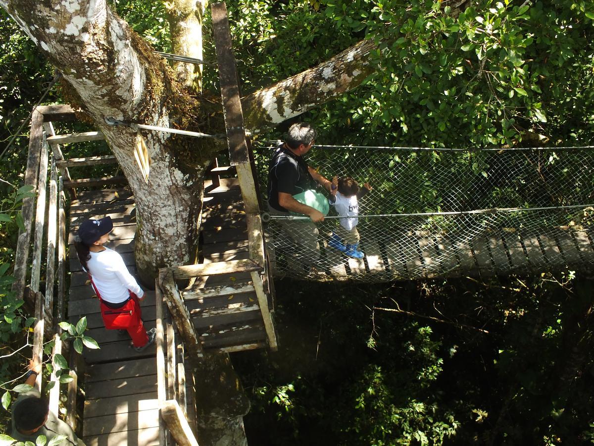 Hacienda Herrera Tambopata Пуэрто-Мальдонадо Экстерьер фото